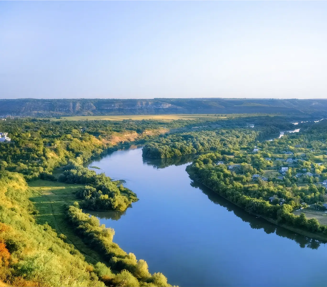 Jezioro otoczone lasem w Lubuskiem