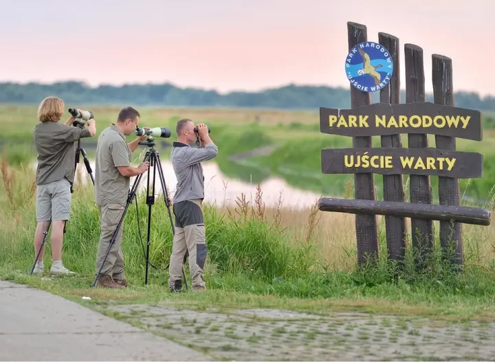 Obserwatorzy ptaków w Parku Narodowym Ujście Warty