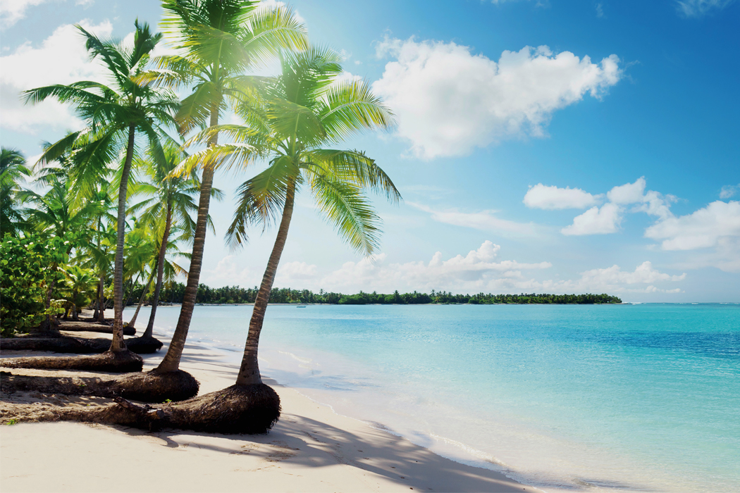 Dominikana Puerto  Plata 2024