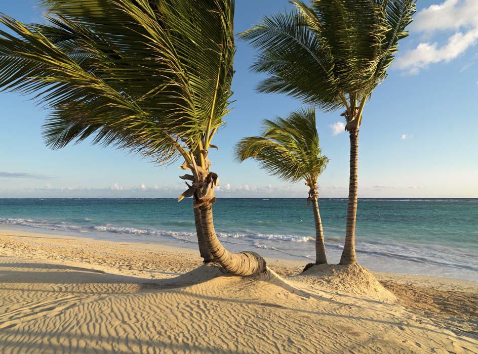 Wakacje Samana Peninsula 4