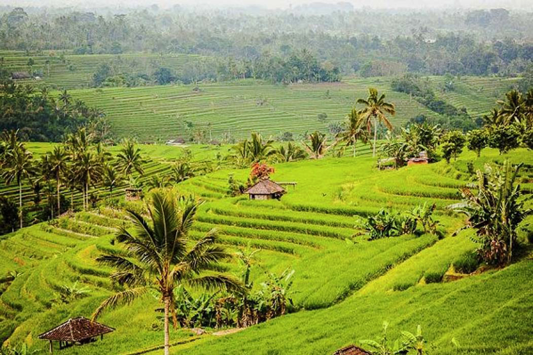 Wakacje Bali 3