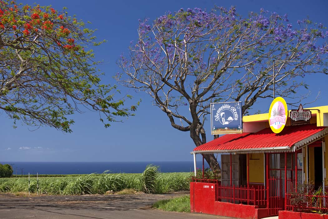 Wakacje Mauritius 3