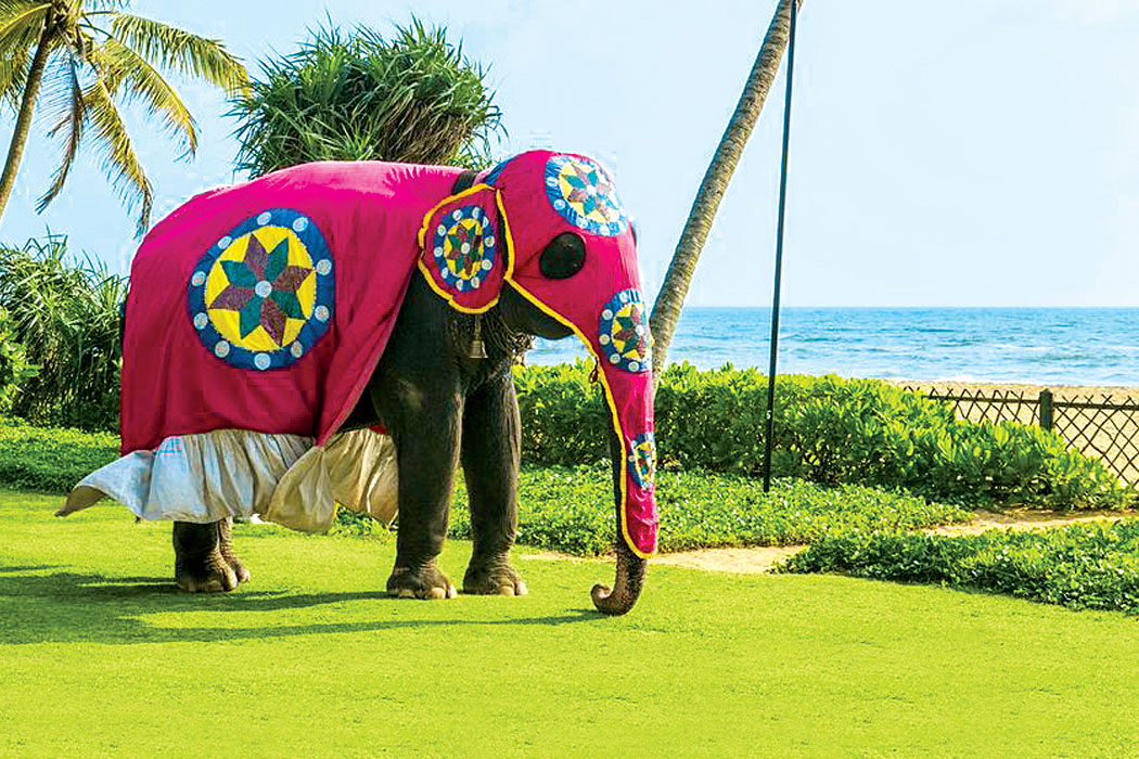 Sri Lanka wakacje all inclusive