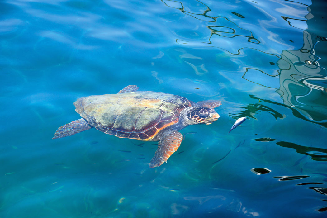 Wakacje Turcja Fethiye4