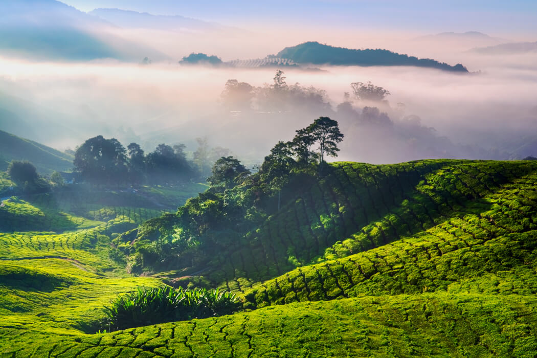 Indonezja
