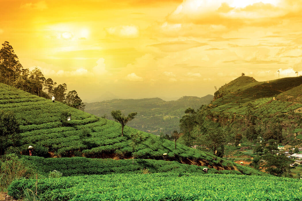 Sri Lanka